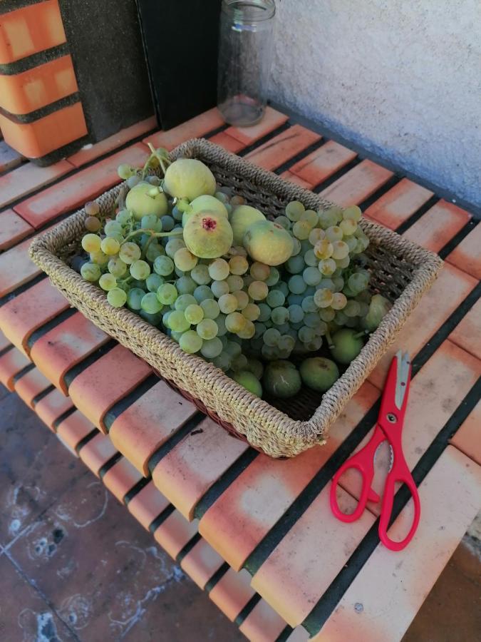 Casa Do Pombar En Valdeorras Villa Seadur Kültér fotó